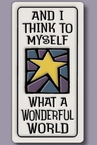 Wonderful World - 951