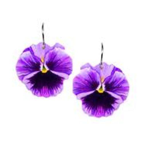 Violet Pansy