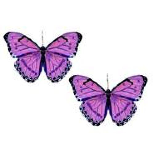 Purple Small