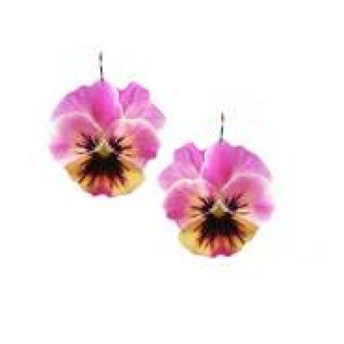 Pink Pansy