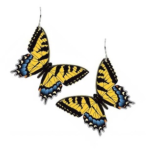Yellow Swallowtail