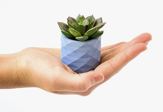 Sm Geometric Planter